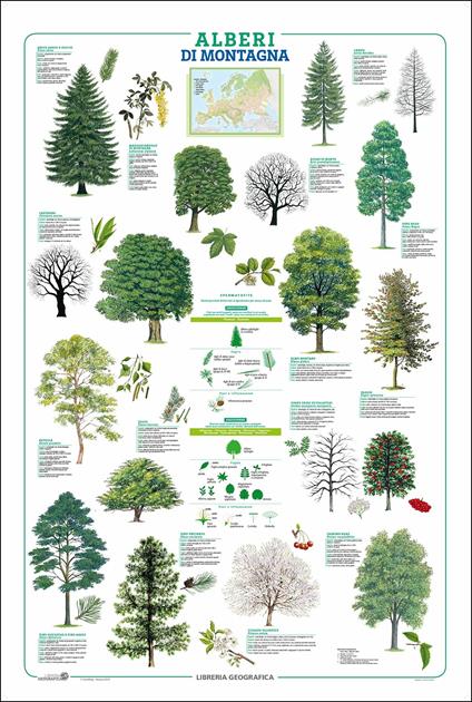 Alberi. Geoposter - copertina