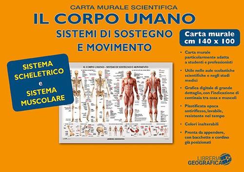 Corpo umano. Sistema scheletrico e muscolare. Carta murale scientifica. Ediz. a colori - copertina