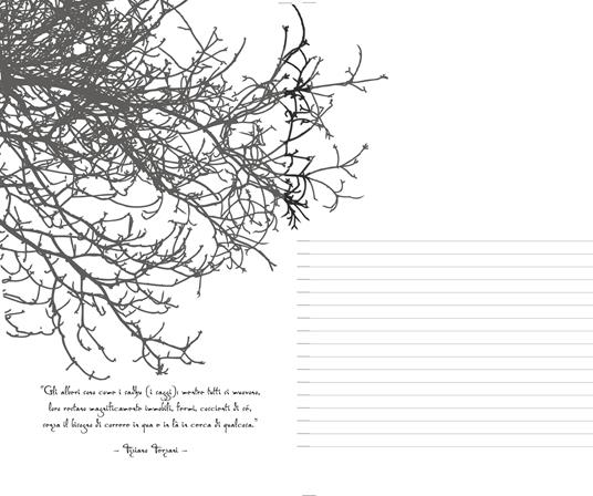 Alberi. Ediz. illustrata - 2