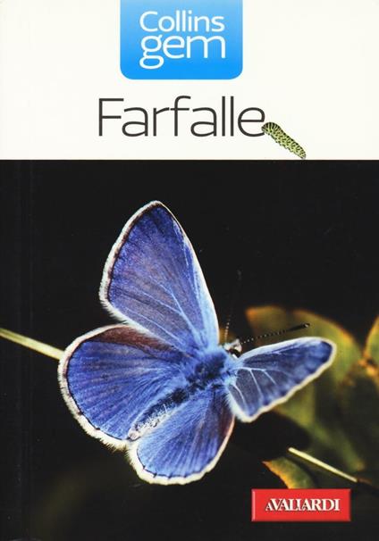 Farfalle - Michael Chinery - copertina