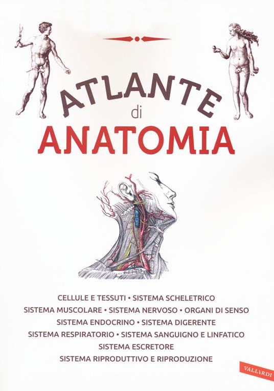 Atlante di anatomia. Ediz. a colori - copertina