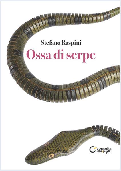Ossa di serpe - Stefano Raspini - copertina