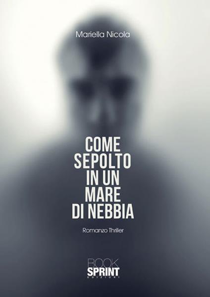 Come sepolto in un mare di nebbia - Mariella Nicola - copertina