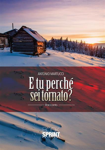 E tu perché sei tornato? - Antonio Martucci - ebook