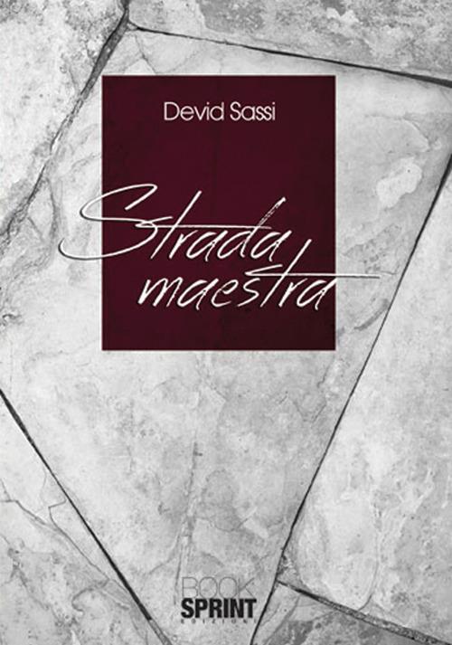 Strada maestra - Devid Sassi - copertina