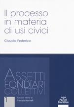 Il processo in materia di usi civili