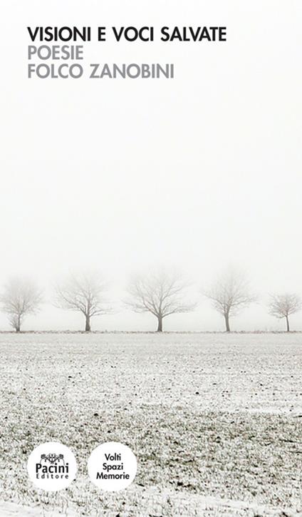 Visioni e voci salvate - Zanobini Folco - copertina
