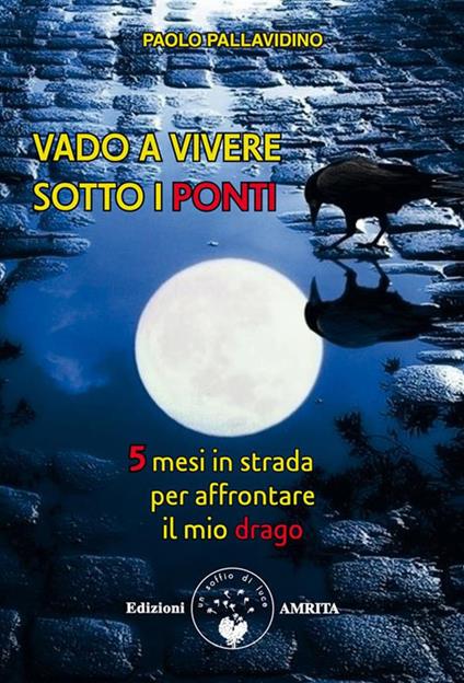 Vado a vivere sotto i ponti. 5 mesi in strada per affrontare il mio drago - Paolo Pallavidino - ebook