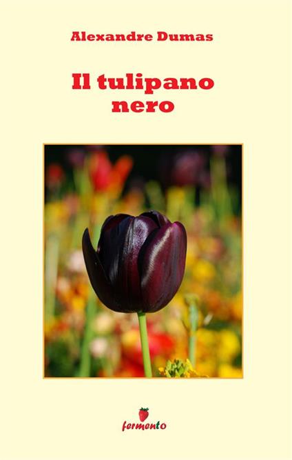 Il tulipano nero - Alexandre Dumas - copertina