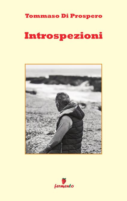 Introspezioni - Tommaso Di Prospero - copertina