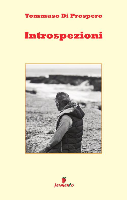 Introspezioni - Tommaso Di Prospero - copertina