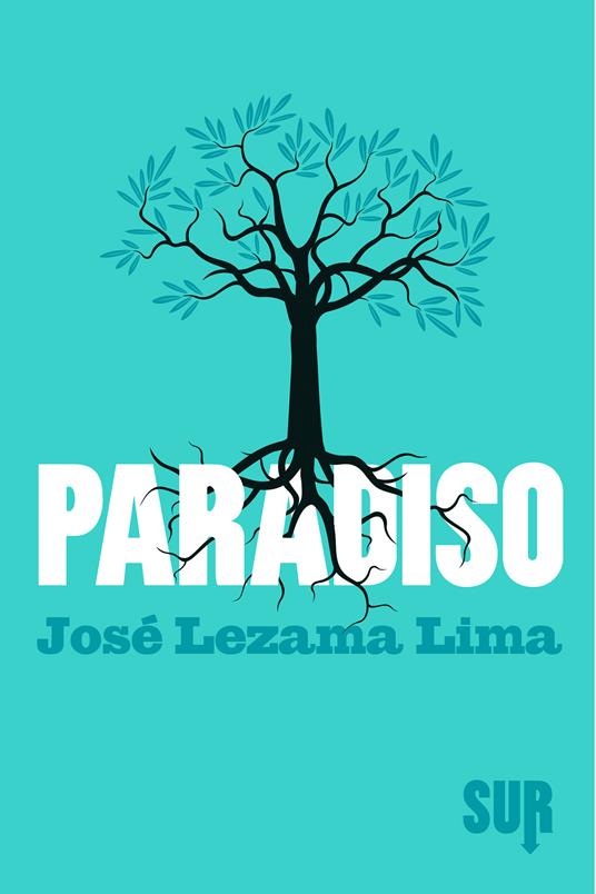 Paradiso - José Lezama Lima,Glauco Felici - ebook