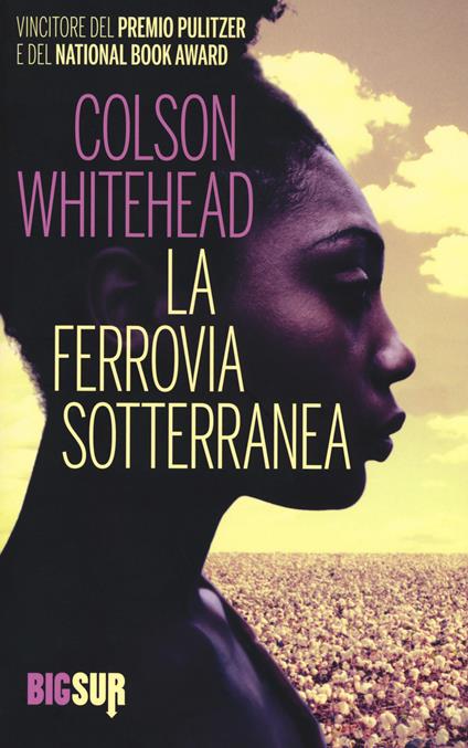 La ferrovia sotterranea - Colson Whitehead - copertina