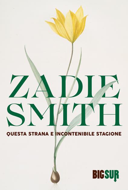 Questa strana e incontenibile stagione - Zadie Smith,Martina Testa - ebook