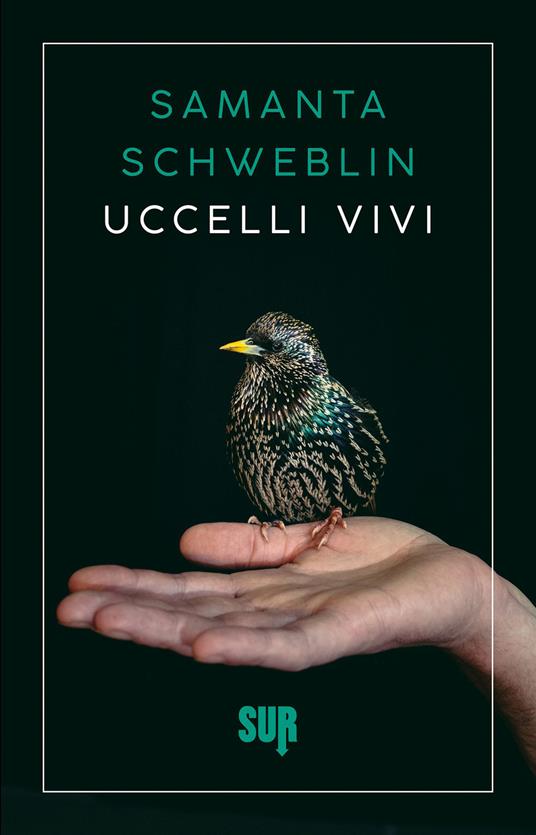 Uccelli vivi - Samanta Schweblin,Maria Nicola - ebook