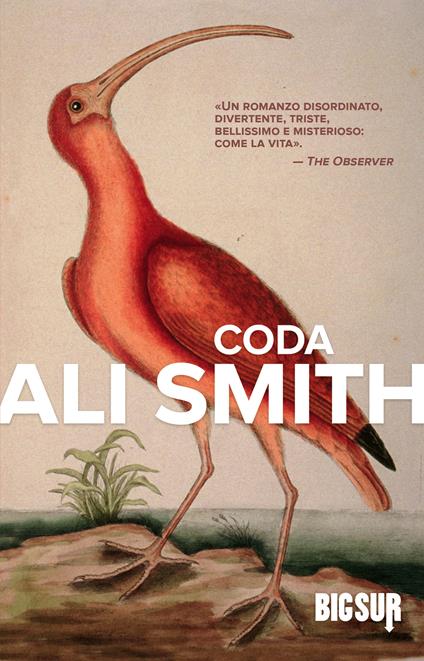 Coda - Ali Smith,Federica Aceto - ebook