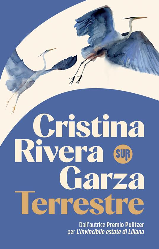 Terrestre - Cristina Rivera Garza,Giulia Zavagna - ebook