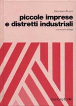 Piccole imprese e distretti industriali. Una raccolta di saggi