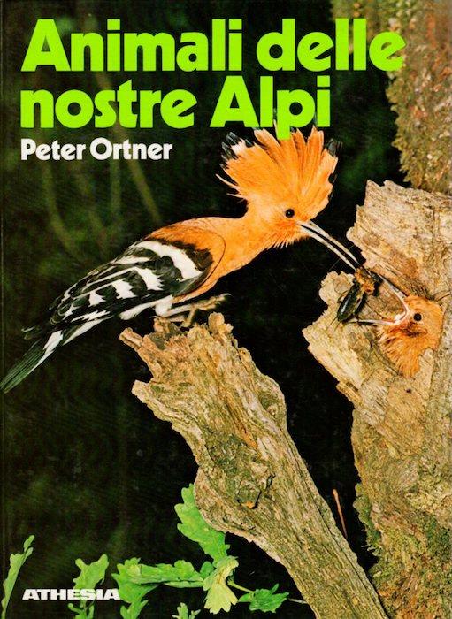 Studio Bibliografico Adige