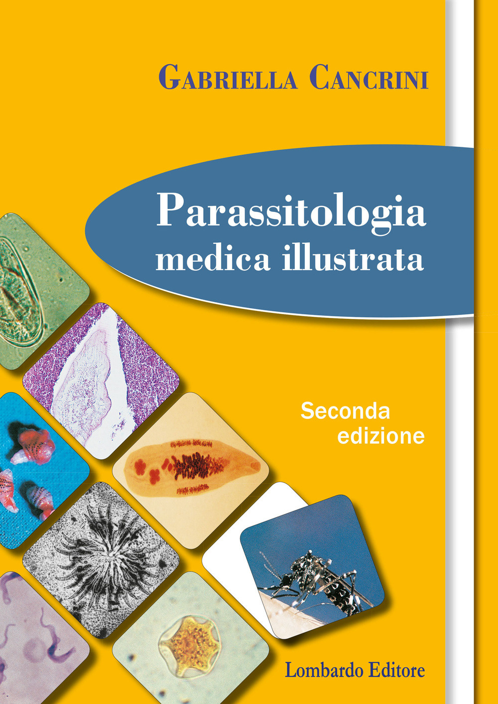 Libreria Internazionale Romagnosi snc