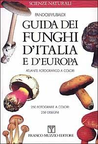 Guida dei funghi d'Italia e d'Europa - Massimo Pandolfi,Davide Ubaldi - copertina