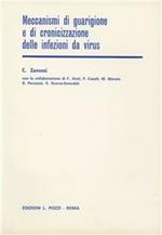 Meccanismi di guarigione e di cronicizzazione delle infezioni da virus