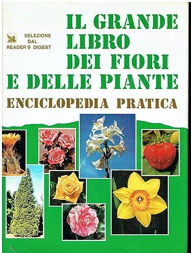 Libreria Biblos di Costa Pierandrea