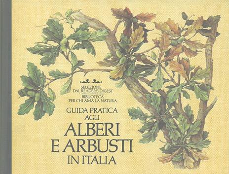 Guida pratica agli alberi e arbusti in Italia - Esmond Harris,Jeanette Harris - copertina