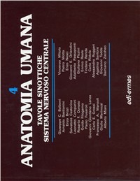 Libraccio