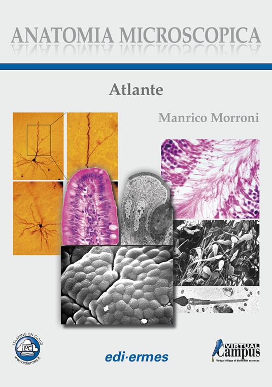 Anatomia microscopica. Atlante - Manrico Morroni - copertina