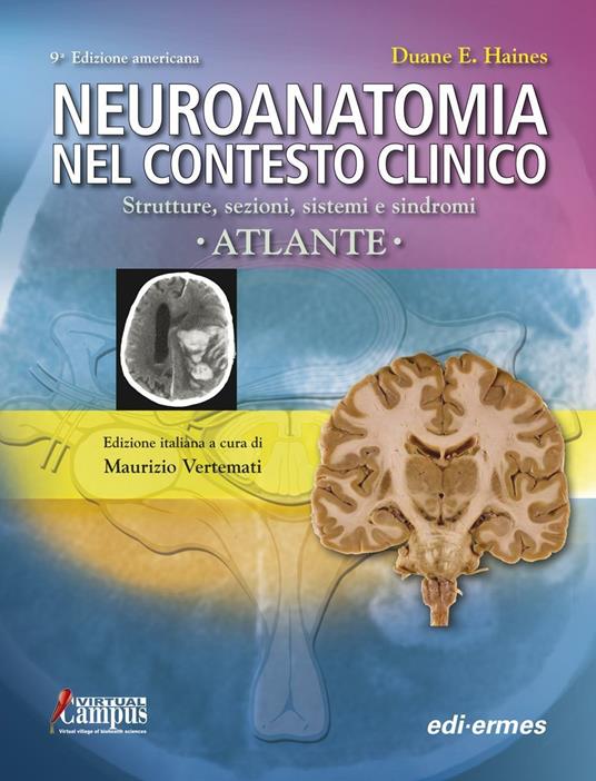 Neuroanatomia nel contesto clinico. Strutture, sezioni, sistemi e sindromi. Atlante - Duane E. Haines - copertina