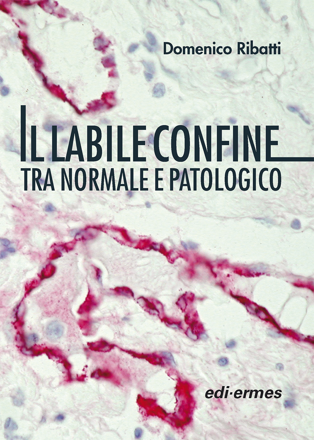 Libreria Internazionale Romagnosi snc