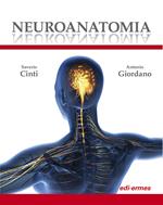 Neuroanatomia. Ediz. illustrata
