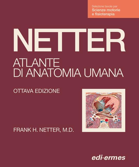 Netter. Atlante anatomia umana. Scienze motorie e fisioterapia - Frank H. Netter - copertina