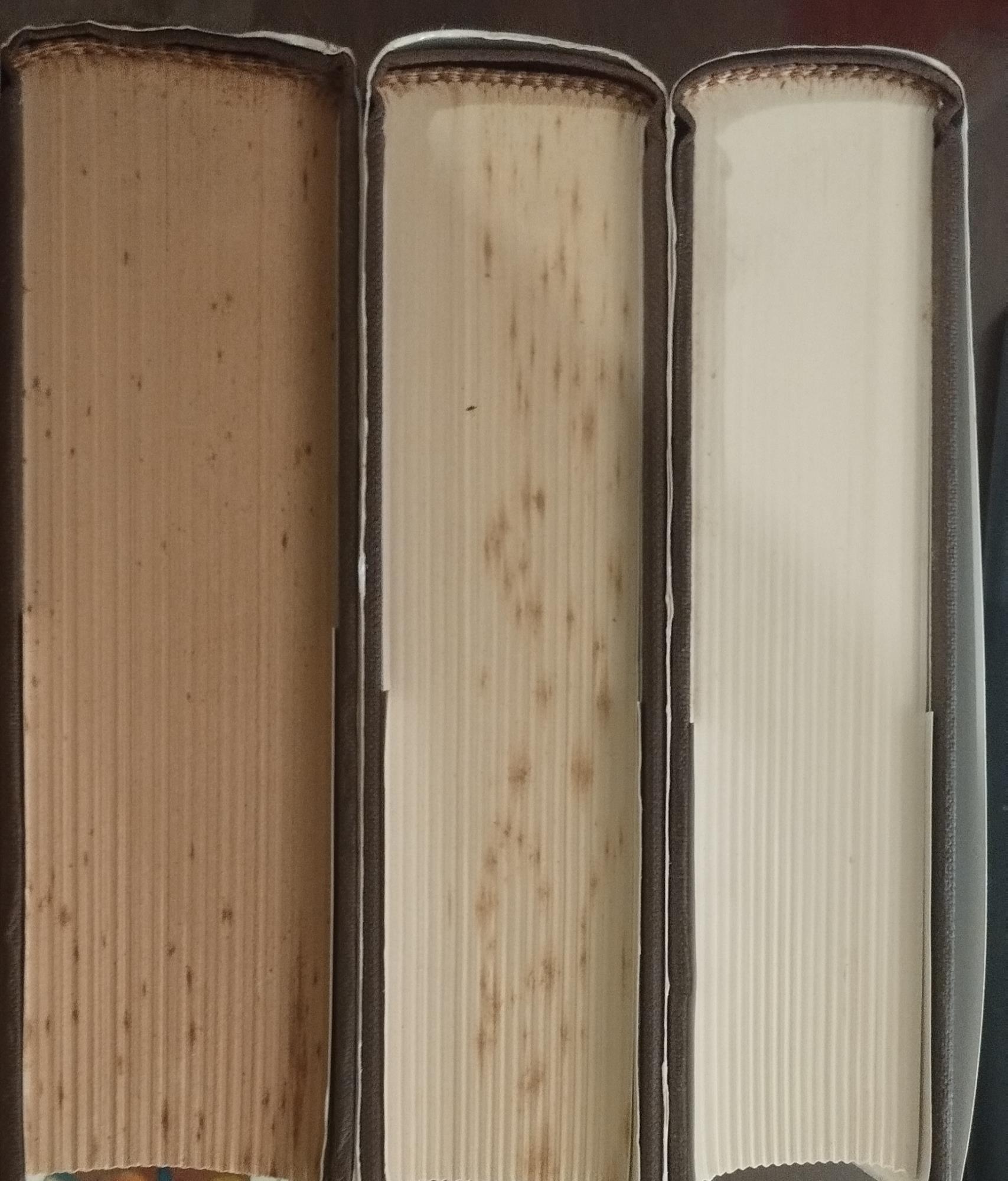 Le opere di Verdi. Vol. 3: Da Don Carlos a Falstaff.