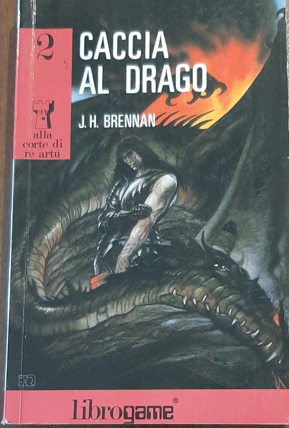 Librisaggi