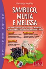 Sambuco, menta e melissa. Tre piante preziose per la salute e il benessere: curano stomaco e intestino, placano dolori e ansia