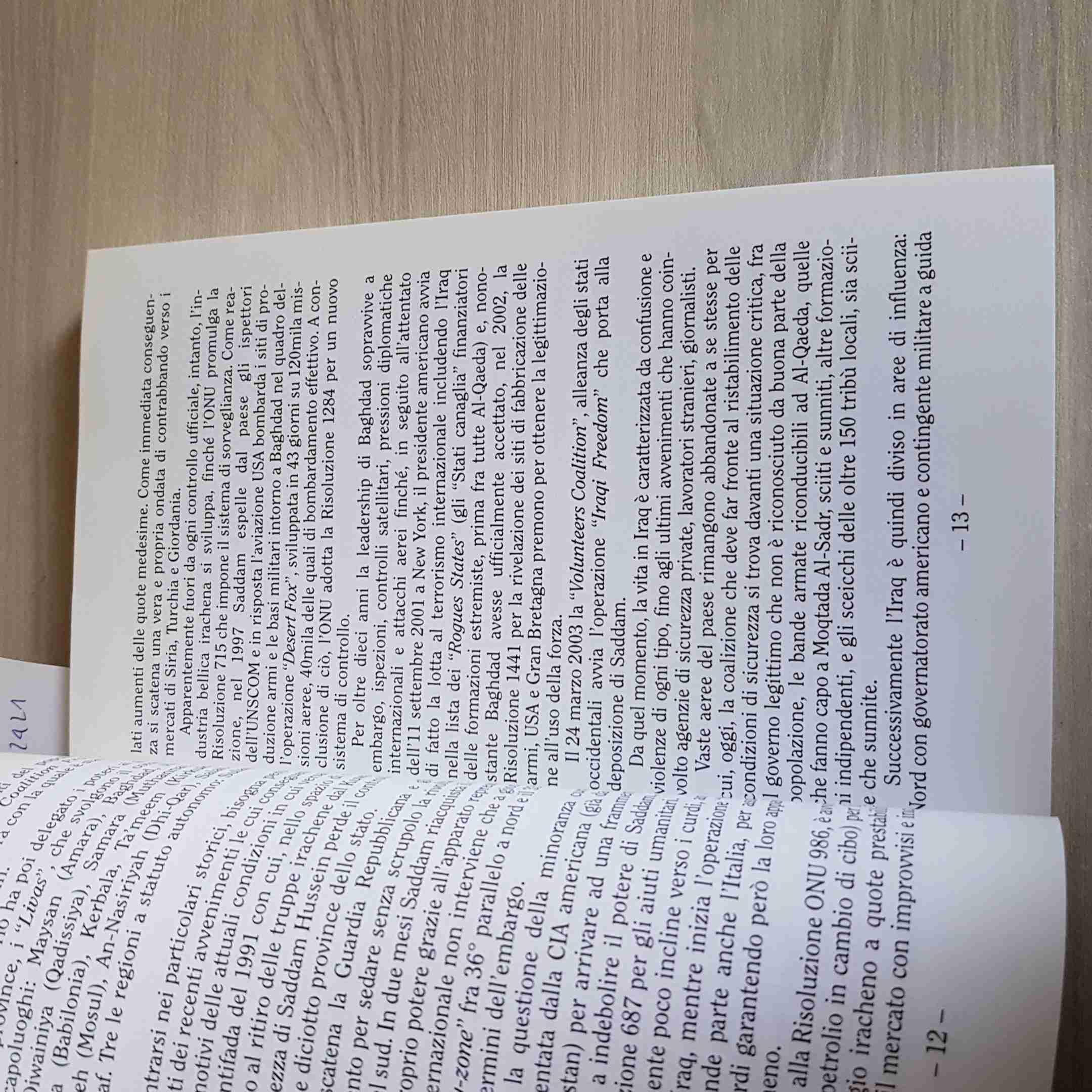 Memorie dall'Iraq. Diario di viaggio fra le verità della guerra