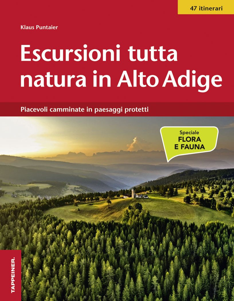 Libreria Scattisparsi Ravenna