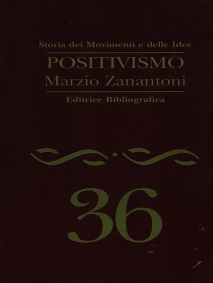 Positivismo - Marzio Zanantoni - copertina