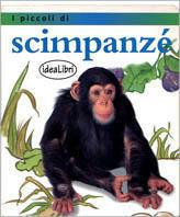I piccoli di... Scimpanzè. Ediz. illustrata - Jinny Johnson - copertina