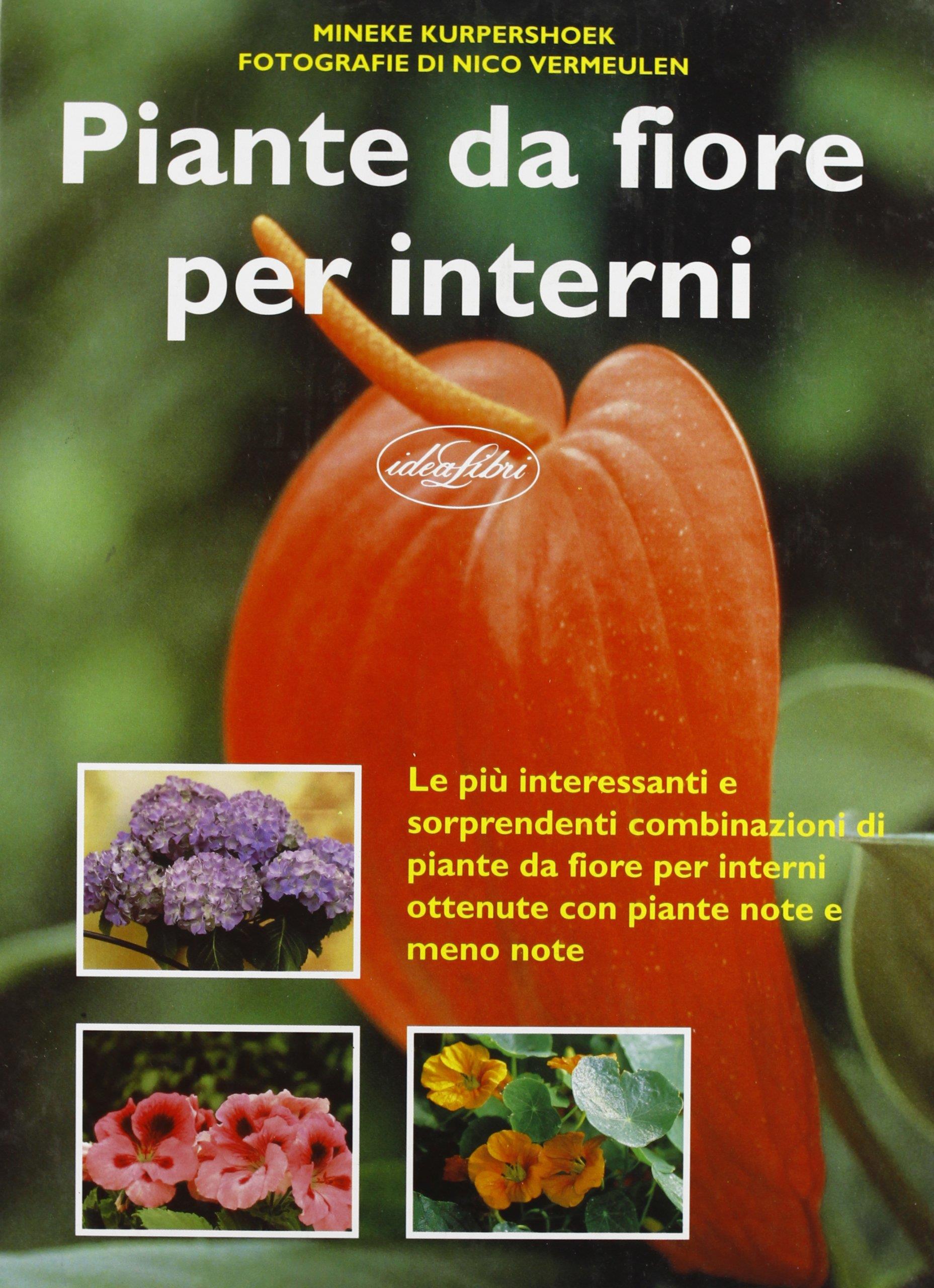 Libreria Serendipity