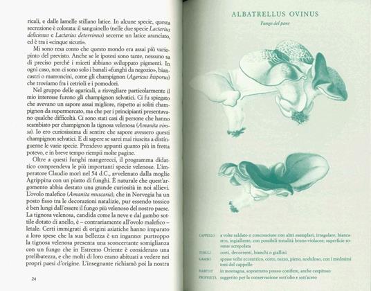 La via del bosco. Una storia di lutto, funghi e rinascita - Litt Woon Long - 2