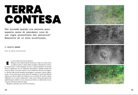 L'Integrale (2024). Vol. 9: Selvatico - 7