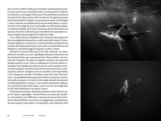 Oceano. The passenger. Per esploratori del mondo - 5