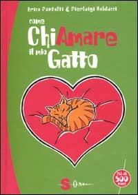 Come chiamare il mio gatto - Erica Pontalti,Pierluigi Balducci - copertina
