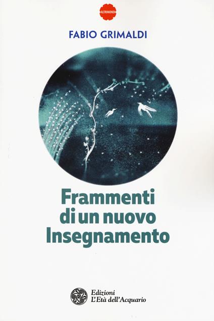Frammenti di un nuovo insegnamento - Fabio Grimaldi - copertina
