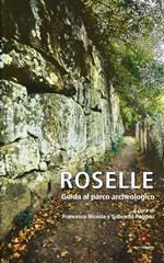 Roselle. Guida al parco archeologico