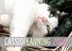 Cassioplanning 2020