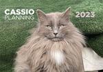Cassioplanning 2023